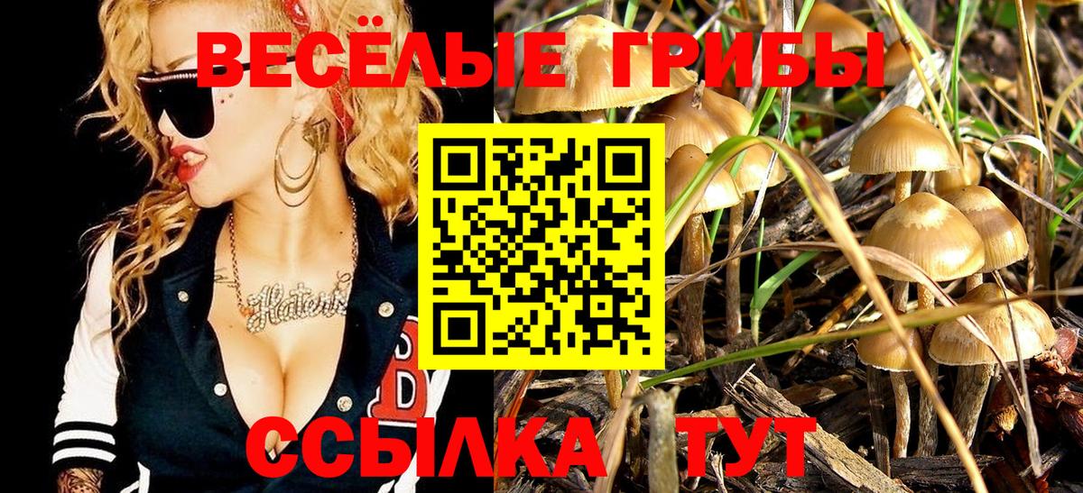 Псилоцибиновые грибы ЛСД Тихорецк
