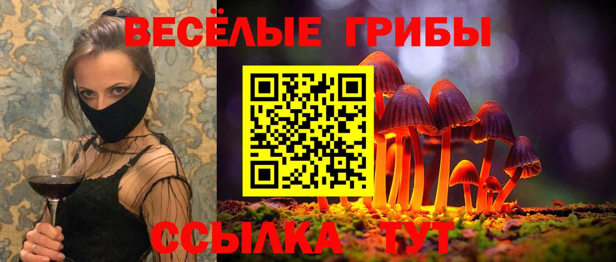 Тихорецк  Галлюциногенные грибы прущие грибы  Вход с VPN 